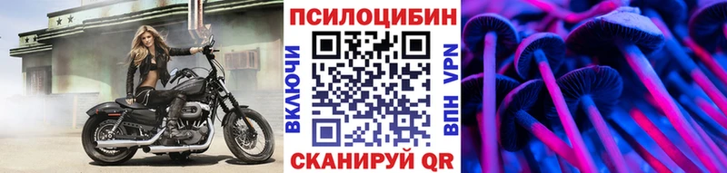 где найти Циолковский Псилоцибиновые грибы GOLDEN TEACHER